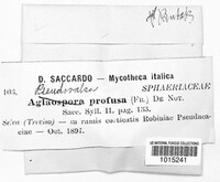 Image Associated With the Occurence